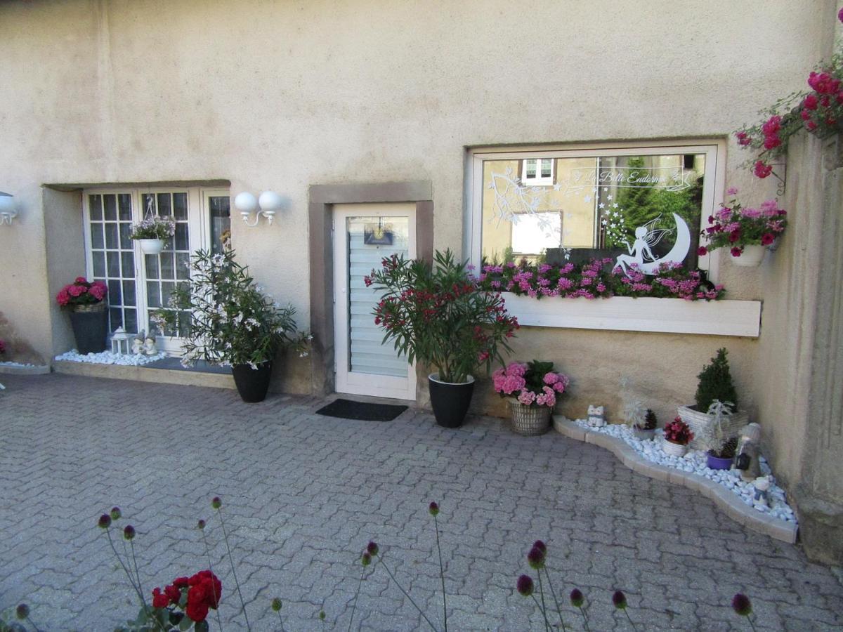 La Belle Endormie - Appartement A Fenetrange المظهر الخارجي الصورة