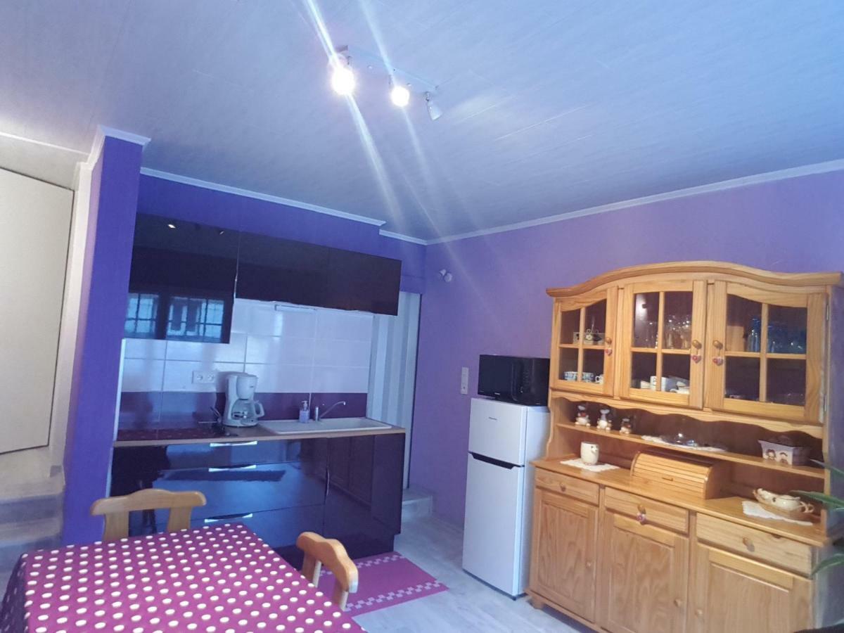 La Belle Endormie - Appartement A Fenetrange المظهر الخارجي الصورة